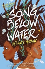 Song Below Water: A Novel цена и информация | Книги для подростков и молодежи | kaup24.ee