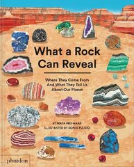 What a Rock Can Reveal: Where They Come From And What They Tell Us About Our Planet цена и информация | Книги для подростков и молодежи | kaup24.ee