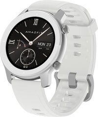 Amazfit GTR Moonlight White цена и информация | Смарт-часы (smartwatch) | kaup24.ee