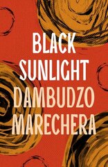 Black Sunlight цена и информация | Фантастика, фэнтези | kaup24.ee