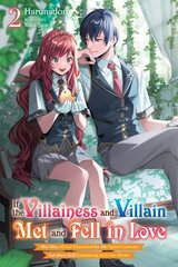 If the Villainess and Villain Met and Fell in Love, Vol. 2 (light novel) цена и информация | Фантастика, фэнтези | kaup24.ee