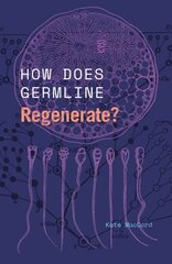 How Does Germline Regenerate? цена и информация | Книги по экономике | kaup24.ee