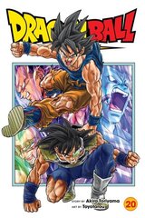 Dragon Ball Super, Vol. 20 цена и информация | Фантастика, фэнтези | kaup24.ee