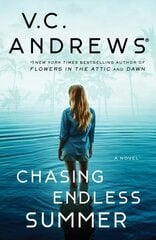 Chasing Endless Summer цена и информация | Фантастика, фэнтези | kaup24.ee