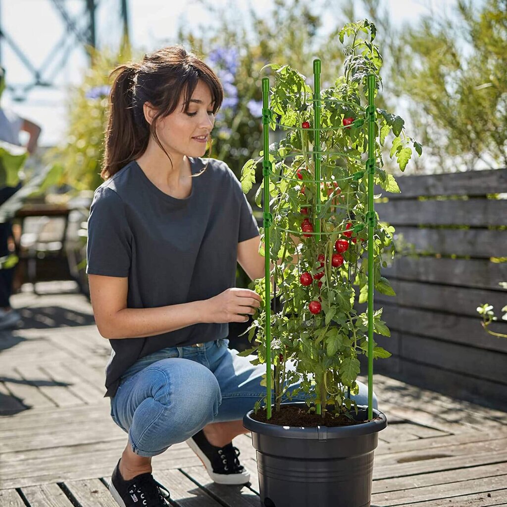 Lillerõnga tugi Springos HA5166 60 cm цена и информация | Dekoratiivsed lillepotid | kaup24.ee