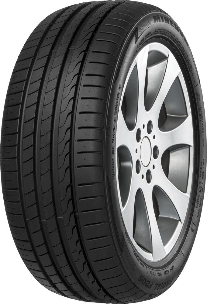 Minerva F205 285/45R19 111 W XL цена и информация | Suverehvid | kaup24.ee