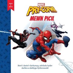 Disney Marvel Agor y Drws: Pry-Copwr Mewn Picil hind ja info | Väikelaste raamatud | kaup24.ee