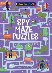 Spy Maze Puzzles hind ja info | Väikelaste raamatud | kaup24.ee