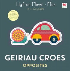 Geiriau Croes / Opposites Bilingual edition hind ja info | Väikelaste raamatud | kaup24.ee