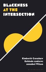 Blackness at the Intersection цена и информация | Книги по социальным наукам | kaup24.ee