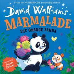 Marmalade: The Orange Panda hind ja info | Väikelaste raamatud | kaup24.ee