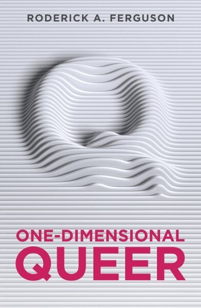 One-Dimensional Queer цена и информация | Ühiskonnateemalised raamatud | kaup24.ee