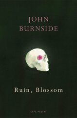 Ruin, Blossom: A master of language Hilary Mantel hind ja info | Luule | kaup24.ee