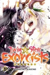 Twin Star Exorcists, Vol. 30: Onmyoji цена и информация | Фантастика, фэнтези | kaup24.ee