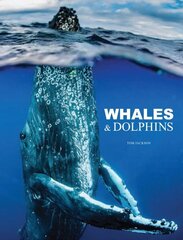 Whales & Dolphins hind ja info | Tervislik eluviis ja toitumine | kaup24.ee