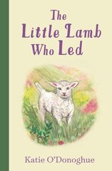 Little Lamb Who Led цена и информация | Книги для малышей | kaup24.ee