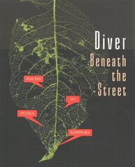 Diver Beneath the Street цена и информация | Биографии, автобиогафии, мемуары | kaup24.ee