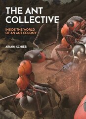 Ant Collective: Inside the World of an Ant Colony цена и информация | Книги о питании и здоровом образе жизни | kaup24.ee