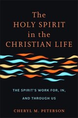 Holy Spirit in the Christian Life: The Spirit's Work for, in, and through Us цена и информация | Духовная литература | kaup24.ee