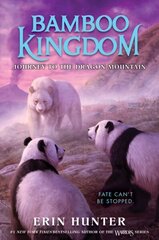 Bamboo Kingdom #3: Journey to the Dragon Mountain цена и информация | Книги для подростков и молодежи | kaup24.ee