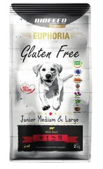 Biofeed Euphoria Gluten Free noortele keskmistest ja suurtest tõugudest kutsikatele veiselihaga, 2 kg hind ja info | Kuivtoit koertele | kaup24.ee