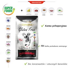 Biofeed Euphoria Gluten Free noortele keskmistest ja suurtest tõugudest kutsikatele veiselihaga, 2 kg цена и информация | Сухой корм для собак | kaup24.ee