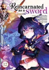 Reincarnated as a Sword (Manga) Vol. 12 цена и информация | Фантастика, фэнтези | kaup24.ee