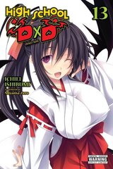 High School DxD, Vol. 13 (light novel) hind ja info | Fantaasia, müstika | kaup24.ee