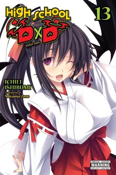 High School DxD, Vol. 13 (light novel) hind ja info | Fantaasia, müstika | kaup24.ee