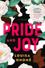 Pride and Joy: A Novel цена и информация | Фантастика, фэнтези | kaup24.ee