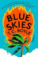 Blue Skies: A Novel цена и информация | Фантастика, фэнтези | kaup24.ee