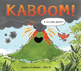 Kaboom! A Volcano Erupts hind ja info | Väikelaste raamatud | kaup24.ee