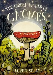 Hidden World of Gnomes цена и информация | Книги для малышей | kaup24.ee