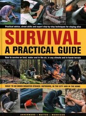 Survival: A Practical Guide: What to do when disaster strikes: outdoors, in the city and in the home цена и информация | Книги о питании и здоровом образе жизни | kaup24.ee