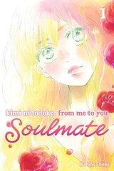 Kimi ni Todoke: From Me to You: Soulmate, Vol. 1 цена и информация | Фантастика, фэнтези | kaup24.ee