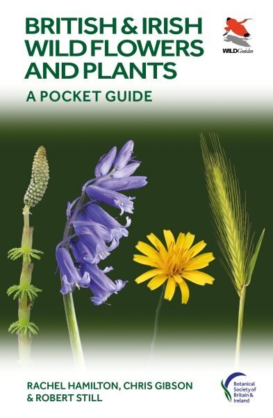 British and Irish Wild Flowers and Plants: A Pocket Guide цена и информация | Tervislik eluviis ja toitumine | kaup24.ee