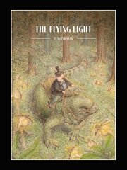 Flying Light цена и информация | Книги для малышей | kaup24.ee