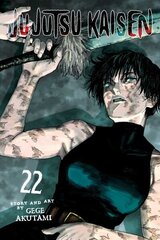 Jujutsu Kaisen, Vol. 22 цена и информация | Фантастика, фэнтези | kaup24.ee