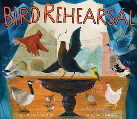 Bird Rehearsal: A Picture Book цена и информация | Книги для малышей | kaup24.ee