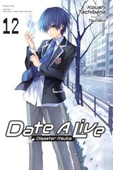 Date A Live, Vol. 12 (light novel): Volume 12 hind ja info | Fantaasia, müstika | kaup24.ee