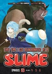 That Time I Got Reincarnated as a Slime Omnibus 2 (Vol. 4-6) цена и информация | Фантастика, фэнтези | kaup24.ee