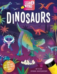 Seek and Find Dinosaurs цена и информация | Книги для малышей | kaup24.ee