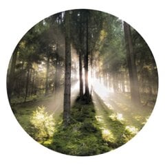 "Qult Senses of Nature - EARTH" - Ароматические свечи в стекле с деревянной крышкой – «Nordic Trees» цена и информация | Подсвечники, свечи | kaup24.ee