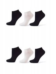 COTTON SOCKS Sokid 35-38 * 6 paari цена и информация | Женские носки | kaup24.ee