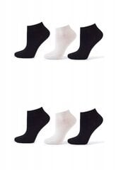 COTTON SOCKS Sokid 38-41 * 6 paari цена и информация | Женские носки | kaup24.ee