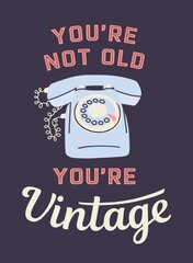 You're Not Old, You're Vintage: Joyful Quotes for the Young At Heart цена и информация | Книги по социальным наукам | kaup24.ee