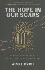 Hope in Our Scars: Finding the Bride of Christ in the Underground of Disillusionment цена и информация | Духовная литература | kaup24.ee