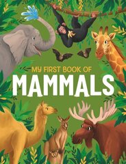 My First Book of Mammals: An Illustrated First Look at Mammals from Around the World цена и информация | Книги для подростков и молодежи | kaup24.ee