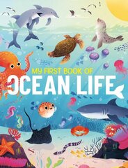 My First Book of Ocean Life: An Illustrated First Look at Ocean Life from Around the World цена и информация | Книги для подростков и молодежи | kaup24.ee