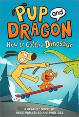 How to Catch Graphic Novels: How to Catch a Dinosaur цена и информация | Книги для подростков и молодежи | kaup24.ee